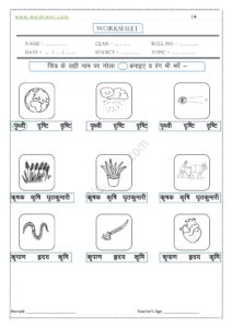 Ri ki matra ke Shabd, Vakya, Worksheet PDF 10