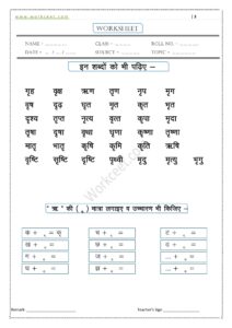 Ri ki matra ke Shabd, Vakya, Worksheet PDF 9