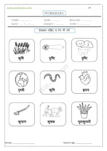 Ri ki matra ke Shabd, Vakya, Worksheet PDF 11