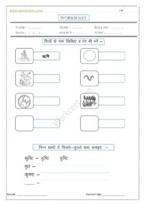 Ri ki matra ke Shabd, Vakya, Worksheet PDF 3