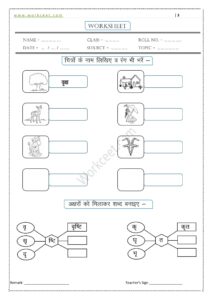 Ri ki matra ke Shabd, Vakya, Worksheet PDF 4