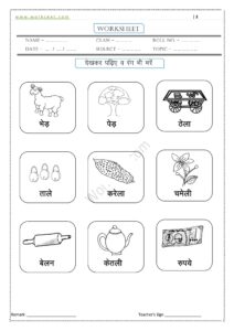 Ae ki matra ke Shabd, Vakya, Worksheet PDF 10