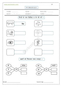 Ae ki matra ke Shabd, Vakya, Worksheet PDF 3