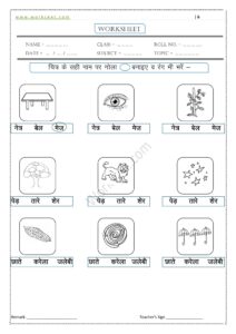 Ai ki matra ke Shabd, Vakya, Worksheet PDF 12