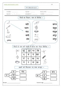 An ki Matra ke shabd, Vakya, Worksheet-7