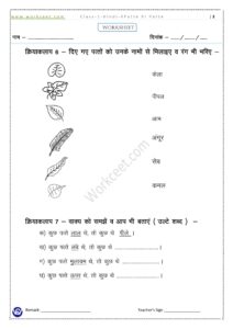 PDF Worksheet Patte hi Patte class 1st 6