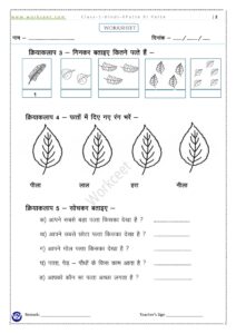 PDF Worksheet Patte hi Patte class 1st 4