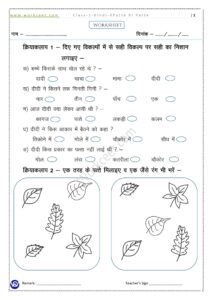 PDF Worksheet Patte hi Patte class 1st 7