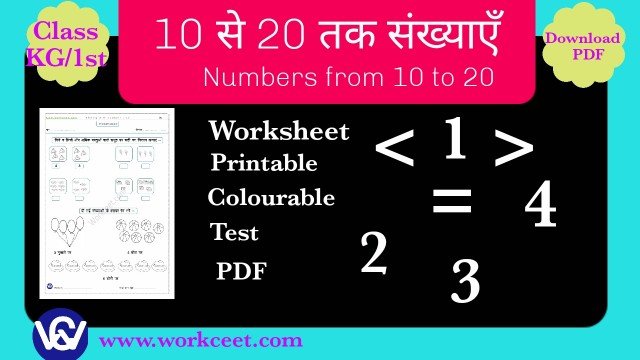 Numbers from 1-20 (L) PDF Worksheet