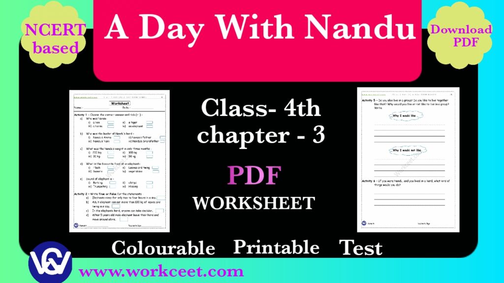 Worksheet - Class 4th - EVS- A Day With Nandu -Download PDF NCERT WORKCEET