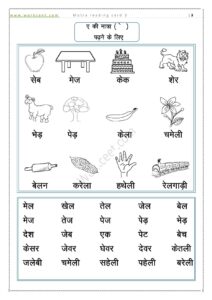 Hindi Matra Reading Practice sheet Download PDF Worksheet Ae ki matra reading Card