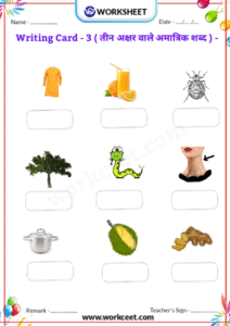 Char akshar wale amatrik shabd in Hindi Class KG Download Worksheet PDF
