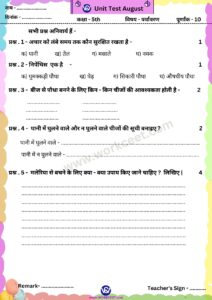 Monthly Test, Unit Test Question Paper NCERT syllabus based for primary classes
