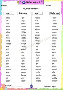 Vilom Shabd Worksheet PDF for Download in Hindi workceet.com