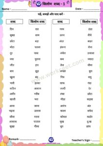 Vilom Shabd Worksheet PDF for Download in Hindi workceet.com