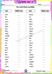 Vilom Shabd Worksheet PDF for Download in Hindi workceet.com