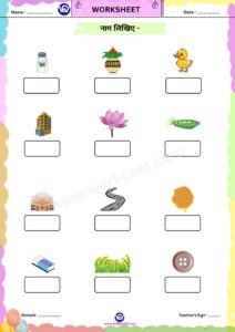 Teen akshar wale a ki matra ke shabd Hindi Worksheet reading practice Download PDF